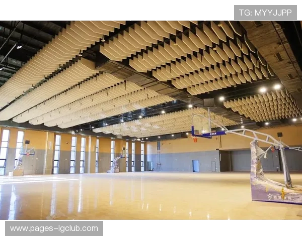 以篮球足球排球馆为核心打造多功能全民健身文化休闲综合中心