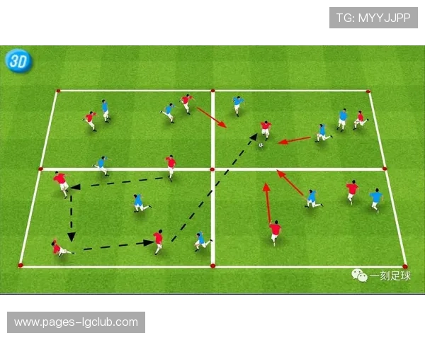 全面提升青训效率的足球训练高栅栏科学化应用策略综合研究探讨途径
